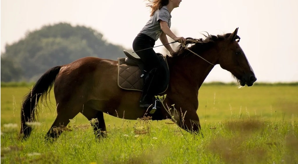 Comment faire de l'équitation au Touquet ?